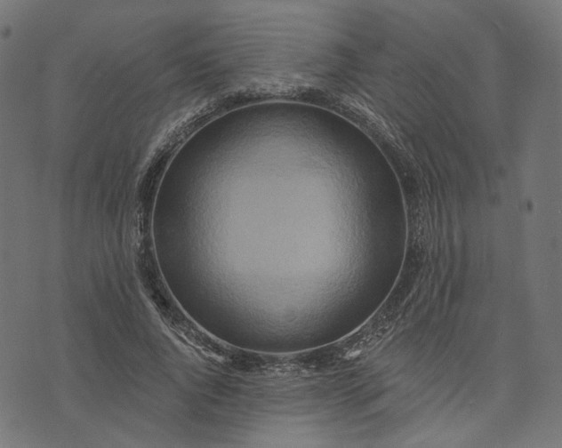 X0000073760736200608171356