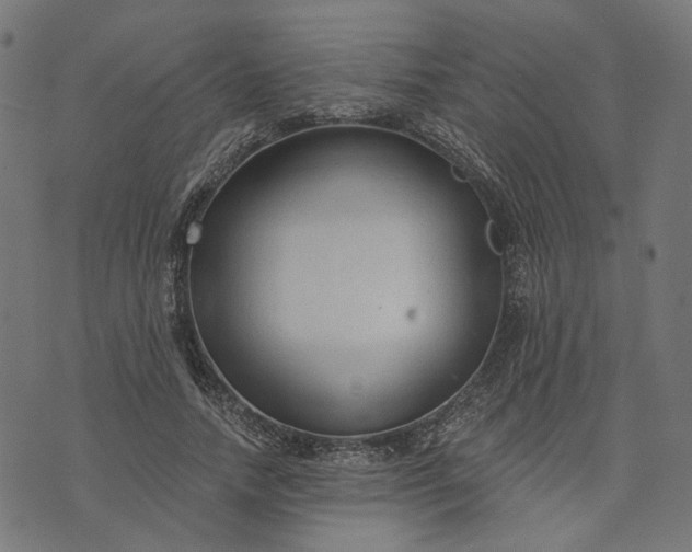 X0000073760738200608171356