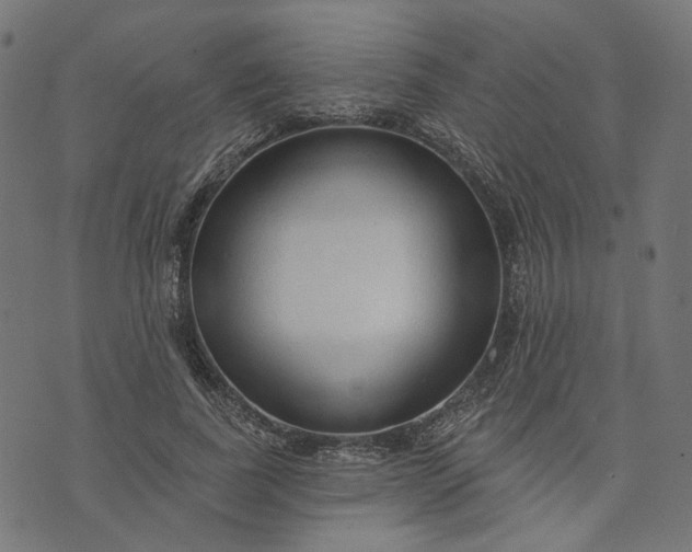 X0000073760739200608171356