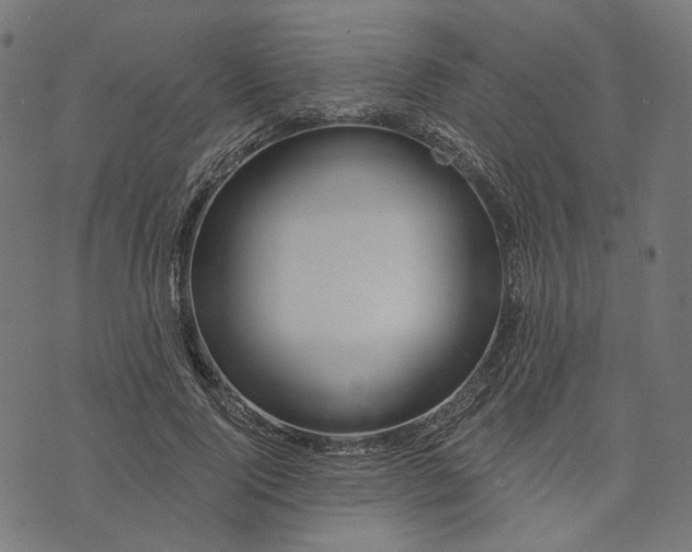 X0000073760740200608171356