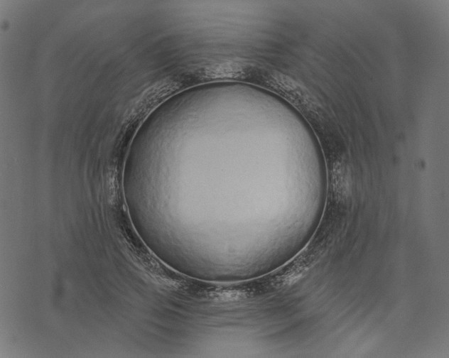 X0000073760741200608171356