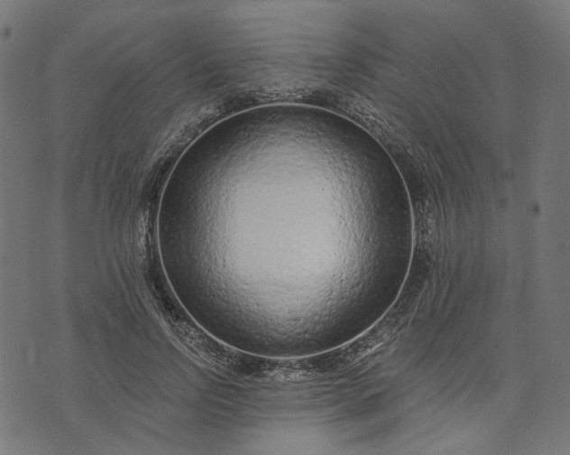 X0000073760742200608171356