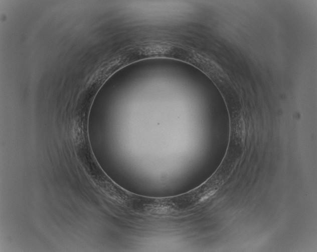 X0000073760743200608171356