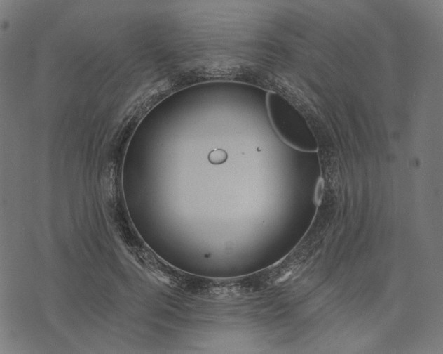 X0000073760744200608171356