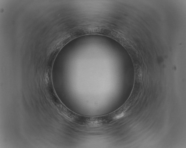 X0000073760746200608171356