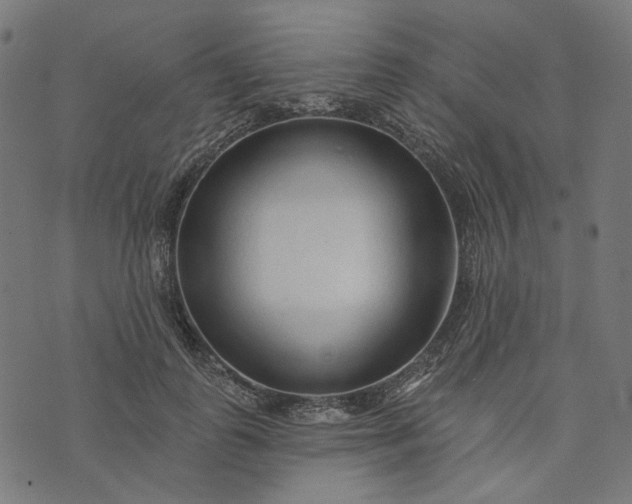 X0000073760747200608171356