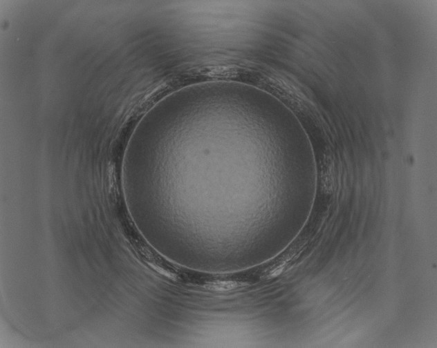 X0000073760748200608171356