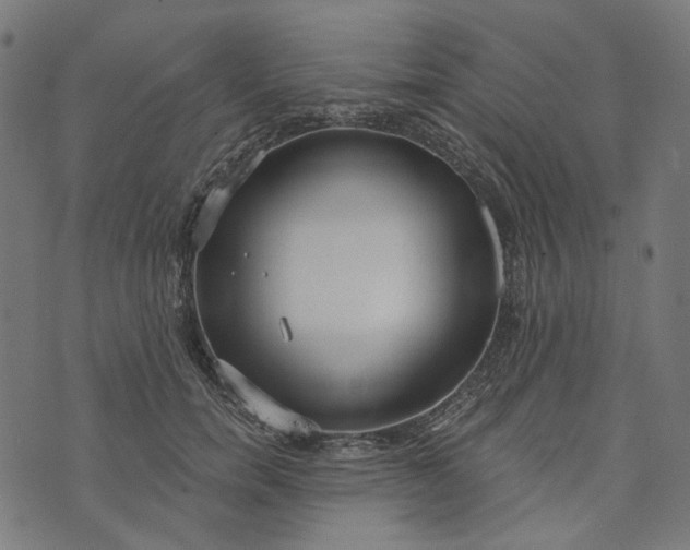 X0000073760750200608171356