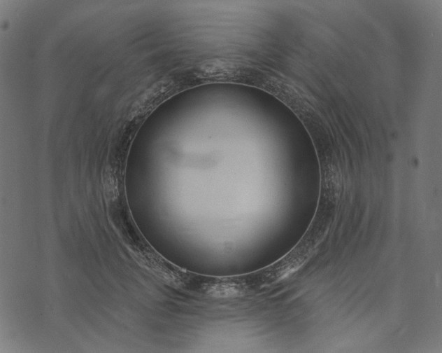 X0000073760751200608171356