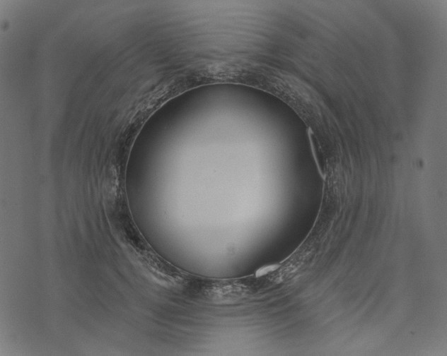 X0000073760752200608171356