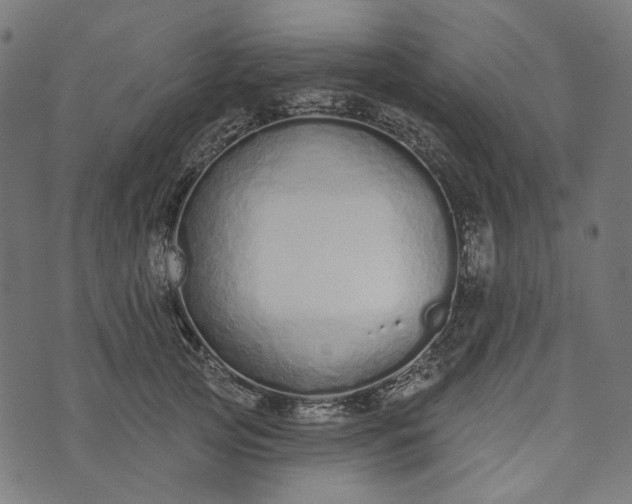 X0000073760753200608171356