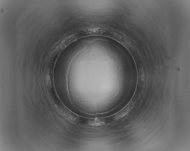 X0000073760754200608171356