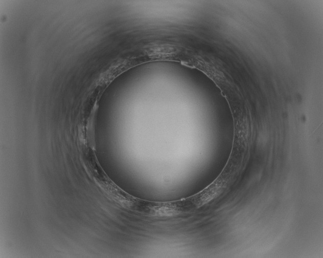 X0000073760755200608171356