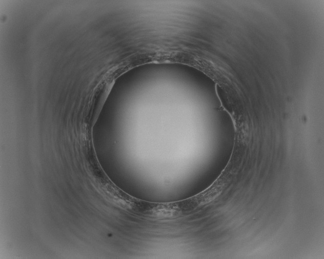 X0000073760756200608171356