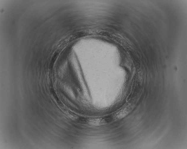 X0000073760757200608171356