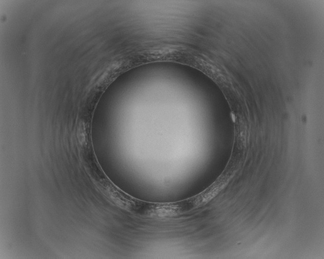 X0000073760758200608171356