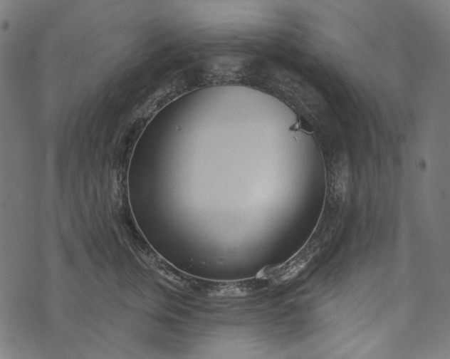 X0000073760759200608171356