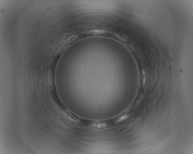 X0000073760760200608171356