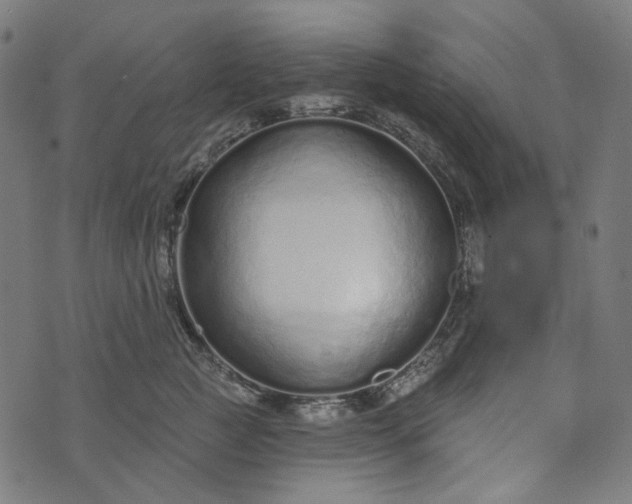 X0000073760761200608171356