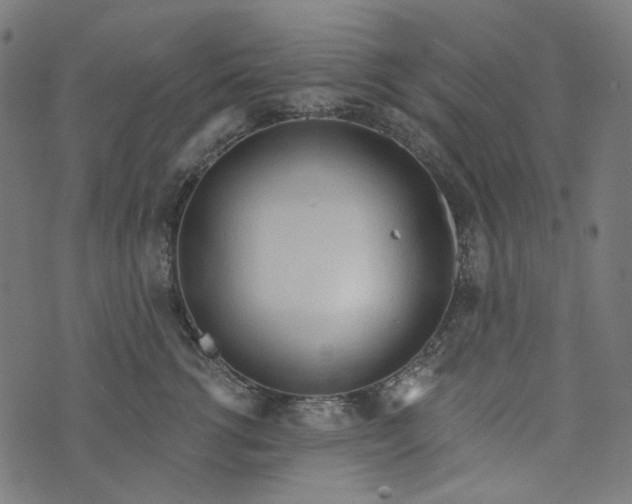 X0000073760762200608171356