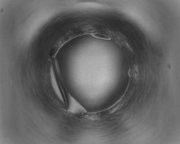 X0000073760763200608171356