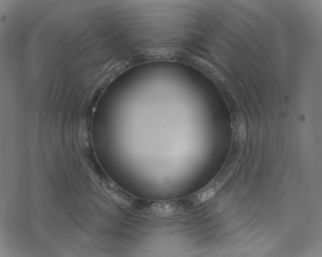 X0000073760764200608171356