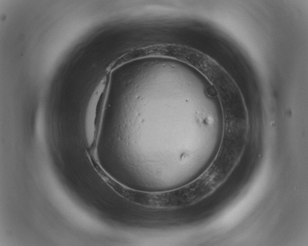 X0000073760765200608171356