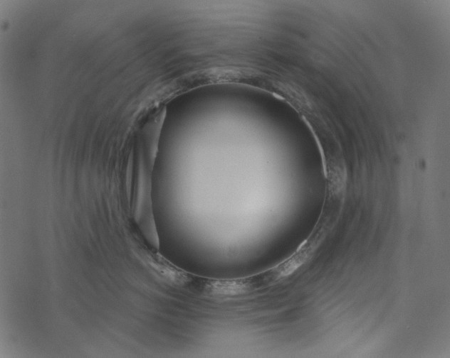 X0000073760766200608171356