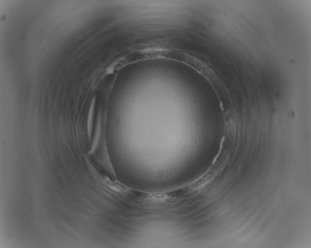 X0000073760767200608171356