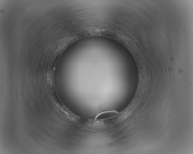 X0000073760768200608171356