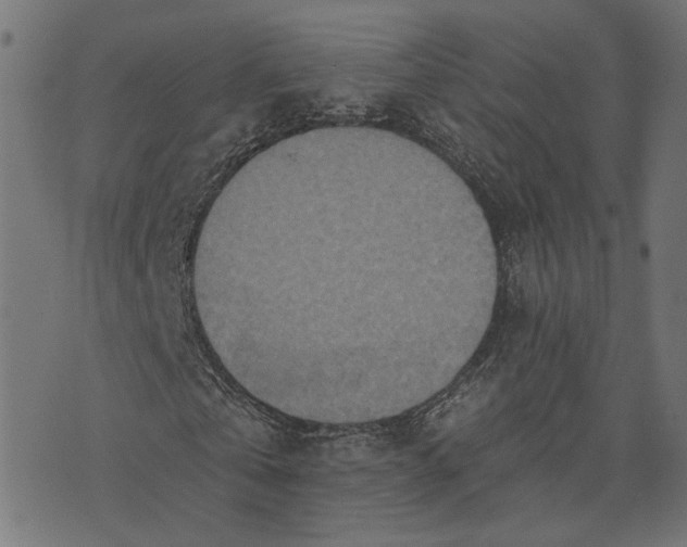 X0000073760769200608171355