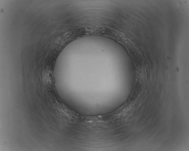 X0000073760770200608171355