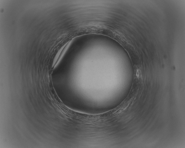 X0000073760771200608171355