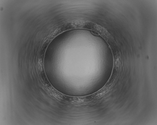 X0000073760772200608171355