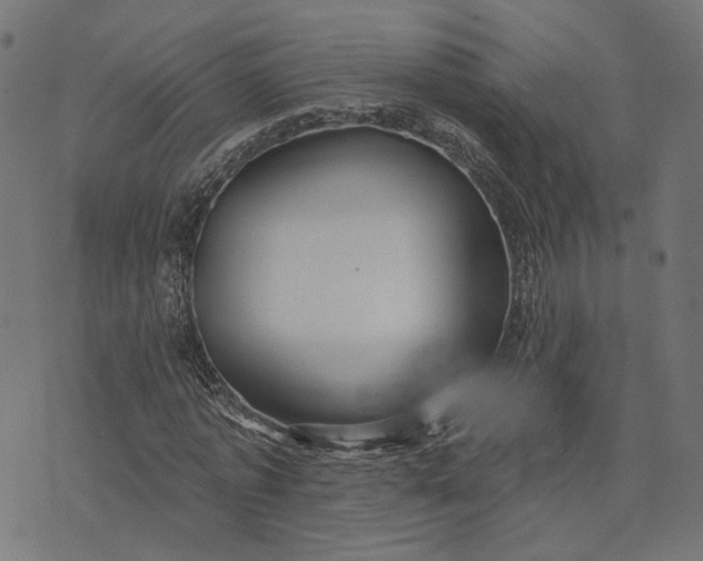 X0000073760773200608171355