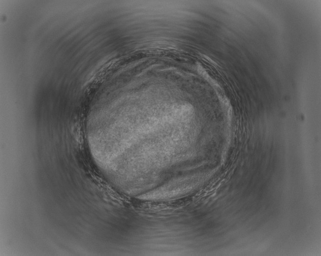 X0000073760774200608171355