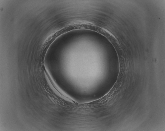 X0000073760775200608171355