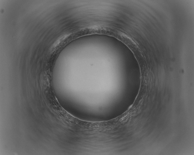 X0000073760776200608171355