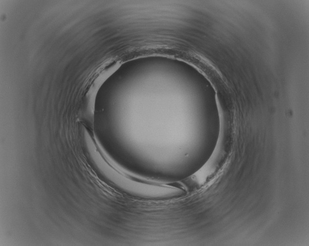 X0000073760777200608171355