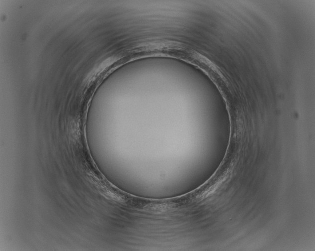 X0000073760778200608171355