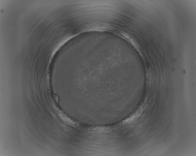 X0000073760779200608171355