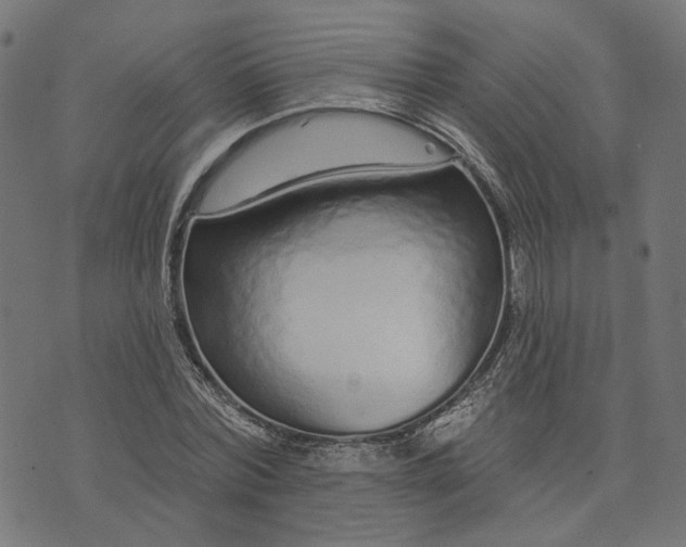 X0000073760780200608171355