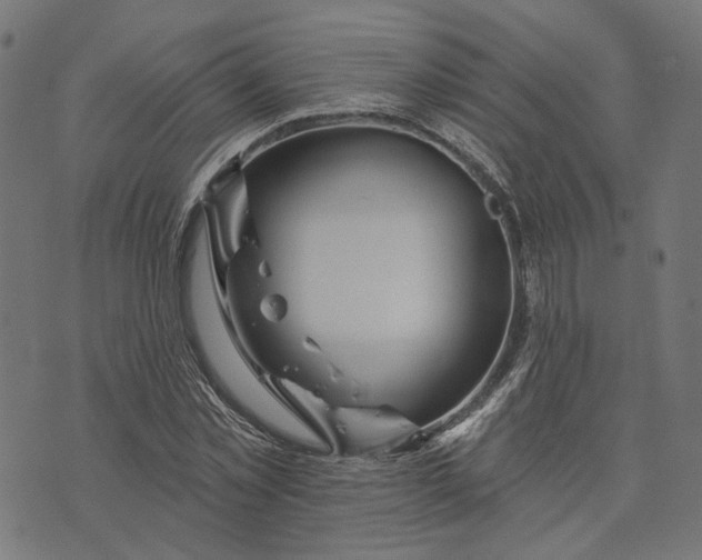 X0000073760781200608171355