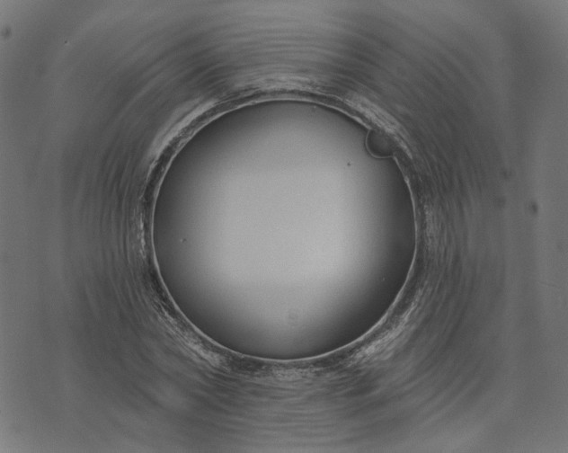 X0000073760782200608171355