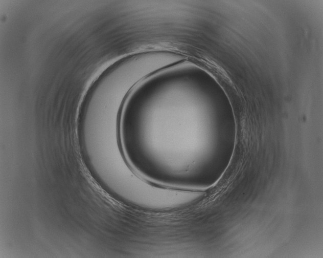 X0000073760784200608171355