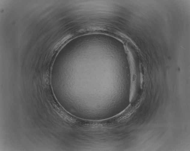 X0000073760785200608171355