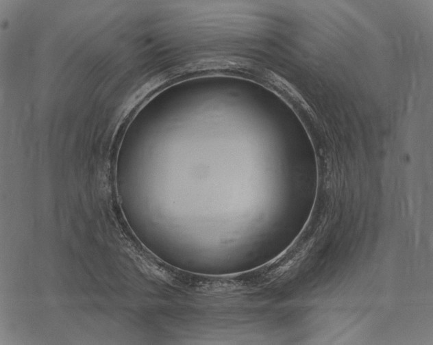 X0000073760786200608171355