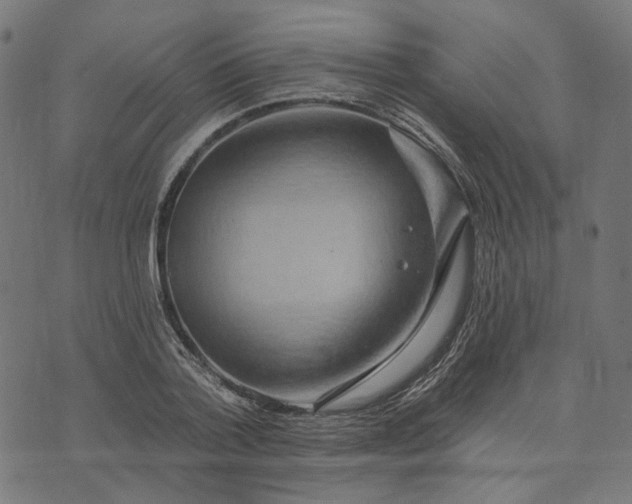 X0000073760788200608171355