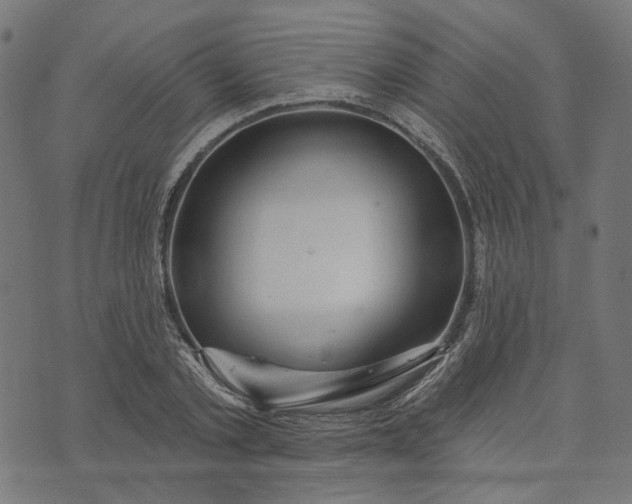 X0000073760789200608171355