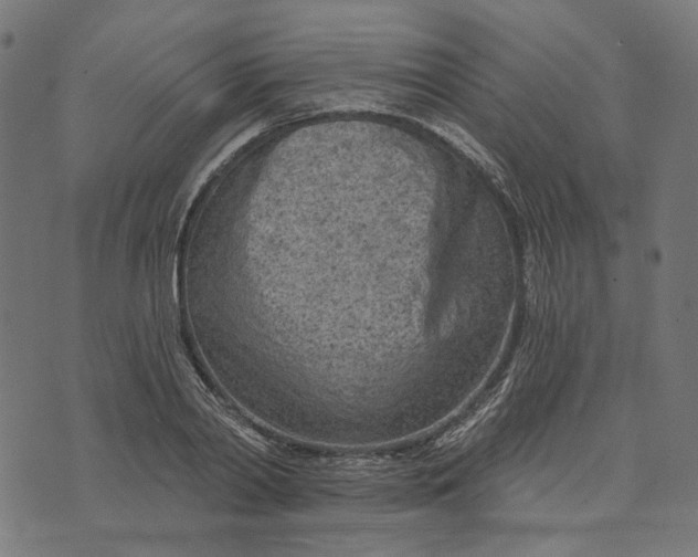 X0000073760790200608171355